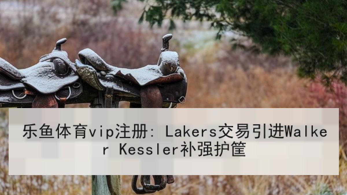 乐鱼体育vip注册: Lakers交易引进Walker Kessler补强护筐