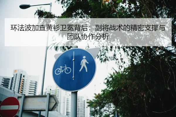 环法波加查黄衫卫冕背后：副将战术的精密支撑与团队协作分析