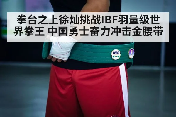 拳台之上徐灿挑战IBF羽量级世界拳王 中国勇士奋力冲击金腰带