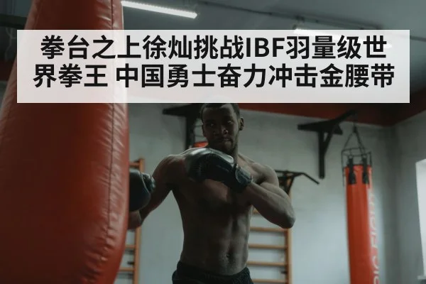 boxer training heavy bag
