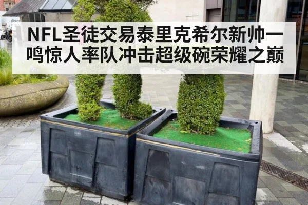 NFL圣徒交易泰里克希尔新帅一鸣惊人率队冲击超级碗荣耀之巅