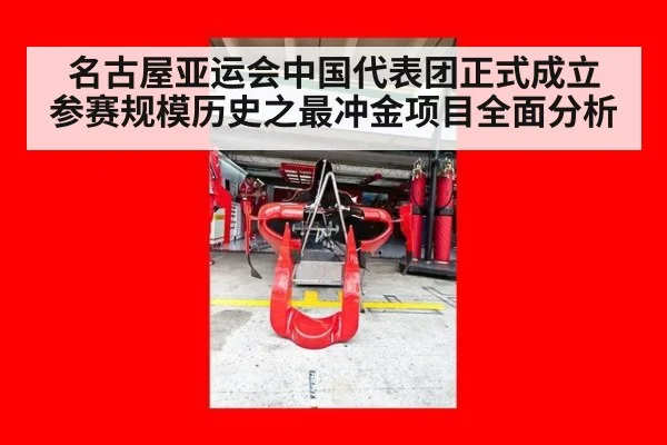 名古屋亚运会中国代表团正式成立 参赛规模历史之最冲金项目全面分析